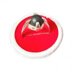 sampurna raksha kavach anguthi abhimantrit