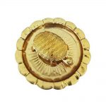 vastu kachhuwa pital abhimantrit