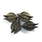 naag jodi beej abhimantrit