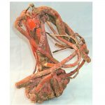 abhimantrit hattha jodi