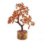 rudraksh tree abhimantrit