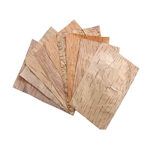 bhoj patra abhimantrit