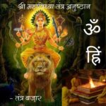 shree mahavidhya tantra anushthan