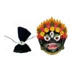 sampurna raksha kavach kit abhimantrit