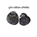 shaligram abhimantrit